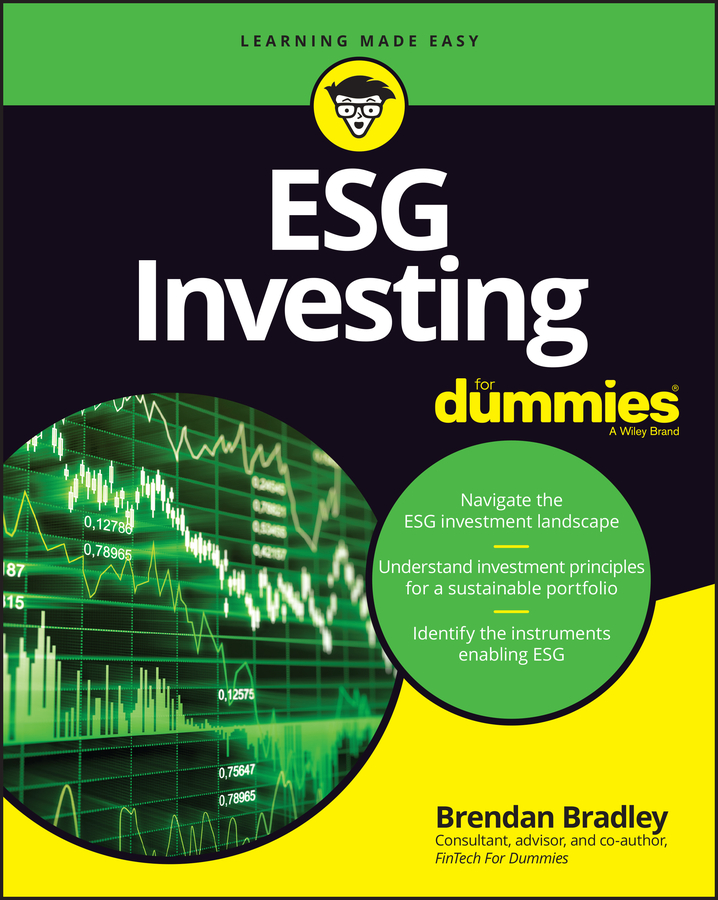 ESG investing for dummies Ebook